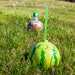 Spherical Cocktail Ball - Watermelon - 24 ounce