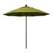 California Umbrella 9' Pole Push Lift SUNBRELLA With Black Aluminum Pole - Kiwi Fabric