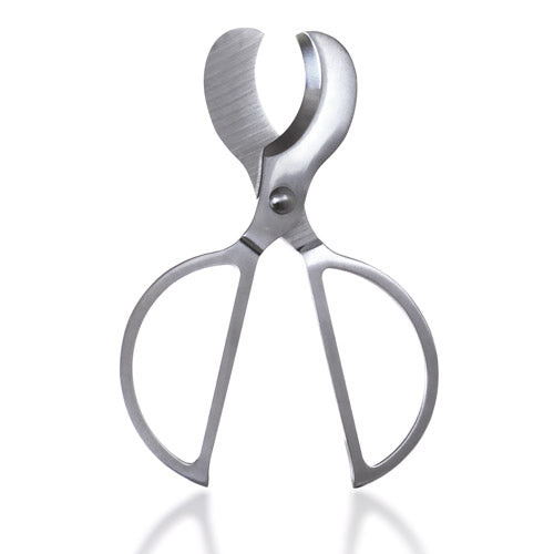 Surgical Steel Cigar Scissors