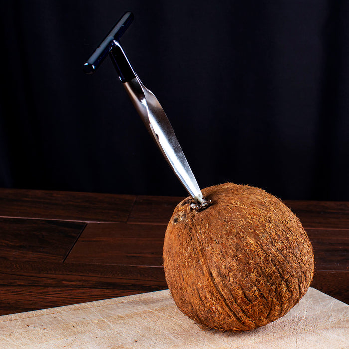 Coconut Opener - Stainless Steel