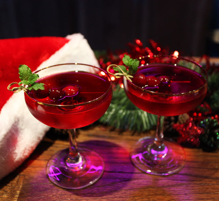 Rimmed Holiday Coupe - Set of 4